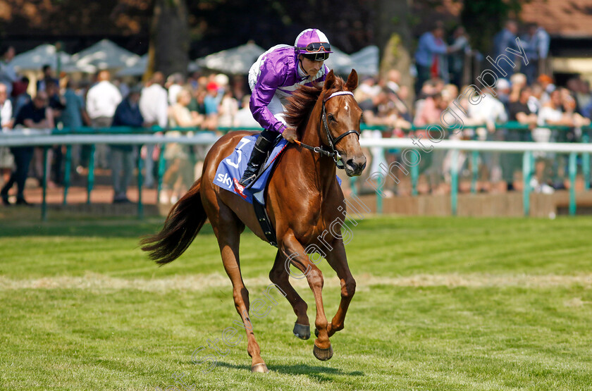 Nachtrose-0001 
 NACHTROSE (Rene Piechulek)
Haydock 10 Jun 2023 - Pic Steven Cargill / Racingfotos.com