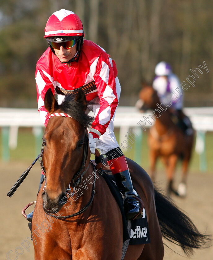 Roman-River-0001 
 ROMAN RIVER (Gerald Mosse)
Lingfield 2 Feb 2019 - Pic Steven Cargill / Racingfotos.com