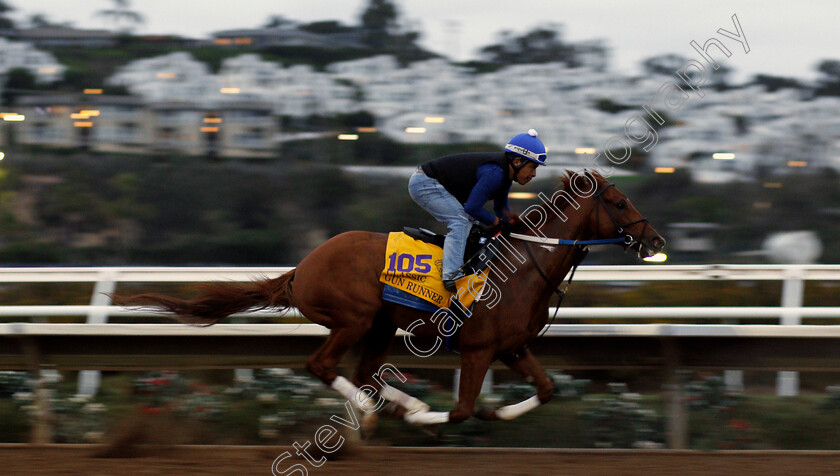 Gun-Runner-0002 
 GUN RUNNER working at Del Mar USA in preparation for The Breeders' Cup Classic 30 Oct 2017 - Pic Steven Cargill / Racingfotos.com