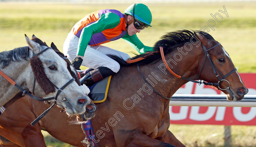 Reeves-0008 
 REEVES (Sean Davis) wins The Bombardier Golden Beer Handicap
Lingfield 10 Jan 2020 - Pic Steven Cargill / Racingfotos.com