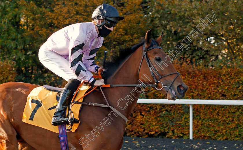 Hexagon-0001 
 HEXAGON (Thomas Greatrex)
Kempton 2 Nov 2020 - Pic Steven Cargill / Racingfotos.com