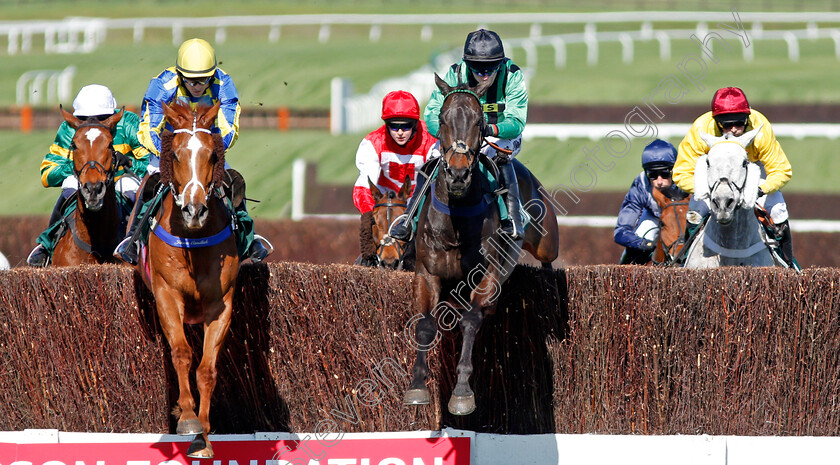 Tanarpino-and-Nightline-0002 
 TANARPINO (left, Sean Quinlan) jumps with NIGHTLINE (centre) Cheltenham 18 Apr 2018 - Pic Steven Cargill / Racingfotos.com