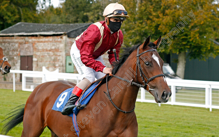 Dream-A-Little-0001 
 DREAM A LITTLE (Andrea Atzeni)
Salisbury 1 Oct 2020 - Pic Steven Cargill / Racingfotos.com