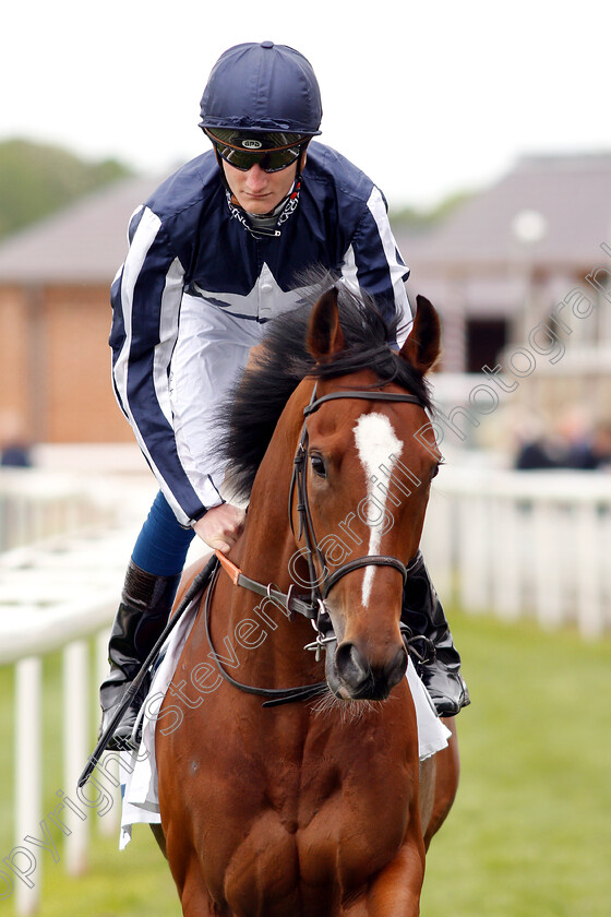 Crowned-Eagle-0001 
 CROWNED EAGLE (Daniel Muscutt)
York 16 May 2018 - Pic Steven Cargill / Racingfotos.com