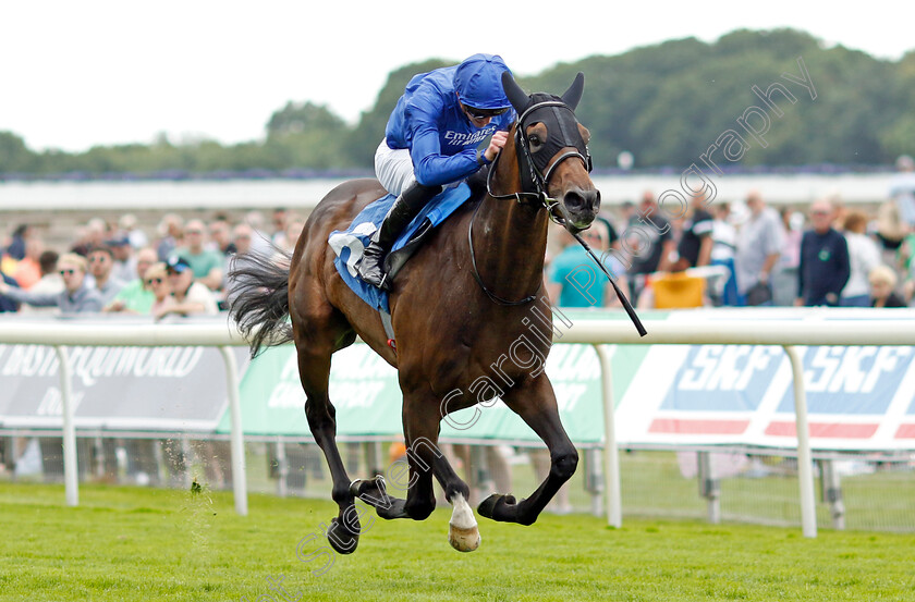 Valiant-Prince-0004 
 VALIANT PRINCE (James Doyle) wins The Seat Unique Ganton Stakes
York 10 Jun 2022 - Pic Steven Cargill / Racingfotos.com