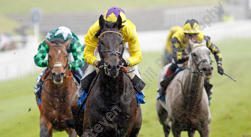 Amleto-0002 
 AMLETO (Tom Marquand) wins The Deepbridge Syndicate Maiden Stakes
Chester 10 May 2023 - Pic Steven Cargill / Racingfotos.com