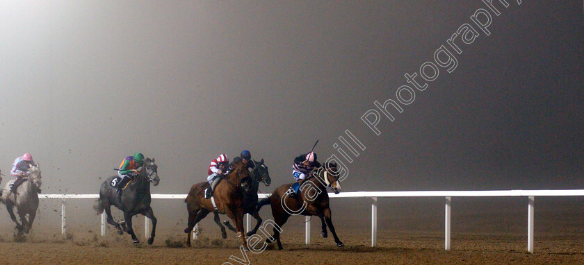 Miracle-Works-0001 
 MIRACLE WORKS (2nd left, Tom Marquand) beats WARRIOR'S VALLEY (right) and JACK THE TRUTH (centre) in The Bet toteexacta At totesport.com Handicap
Chelmsford 22 Feb 2019 - Pic Steven Cargill / Racingfotos.com