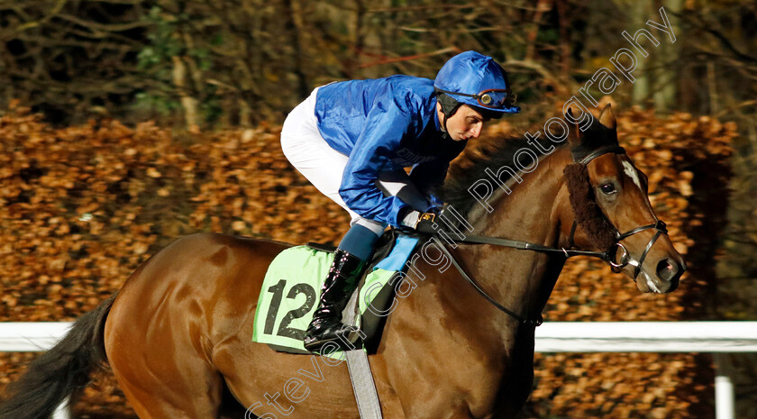 Symbol-Of-Power-0001 
 SYMBOL OF POWER (William Buick)
Kempton 13 Dec 2023 - Pic Steven Cargill / Racingfotos.com