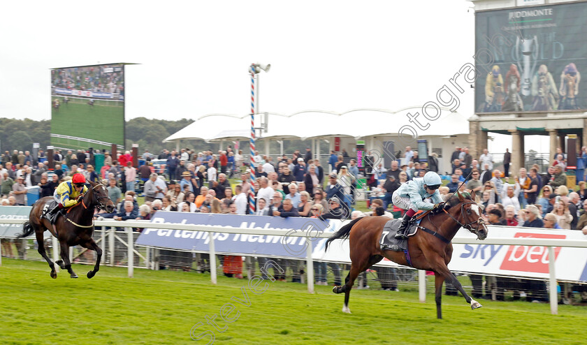 Scenic-0004 
 SCENIC (Oisin Murphy) wins The British EBF & Sir Henry Cecil Galtres Stakes
York 22 Aug 2024 - Pic Steven Cargill / Racingfotos.com