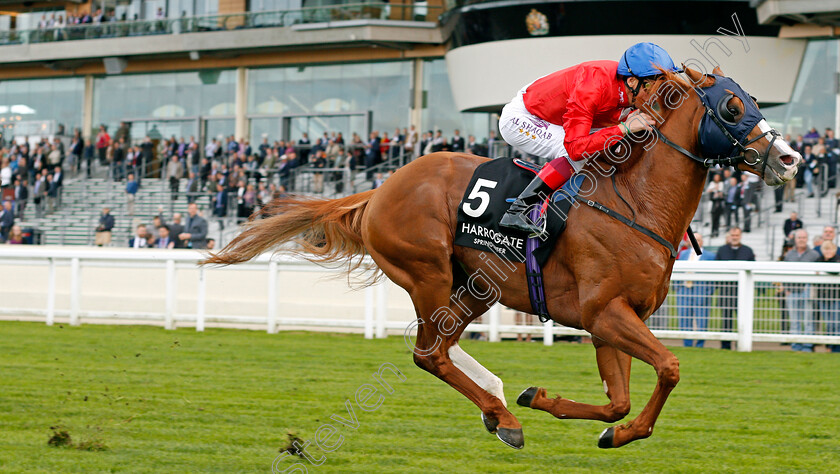 Nobly-Born-0003 
 NOBLY BORN (Frankie Dettori) wins The Original Harrogate Water Handicap Ascot 6 Oct 2017 - Pic Steven Cargill / Racingfotos.com