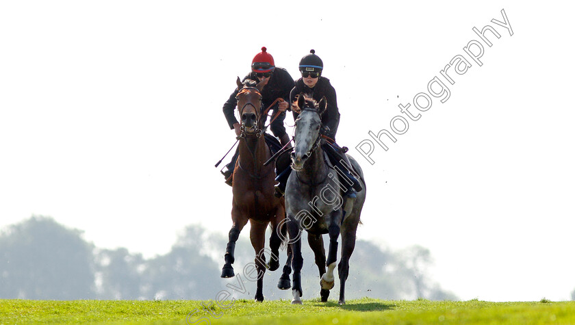 Perfect-Clarity-0009 
 PERFECT CLARITY (left, Adam, Kirby) exercising with LUIRA (right) at Epsom Racecourse in preparation for The Investec Oaks, 22 May 2018 - Pic Steven Cargill / Racingfotos.com