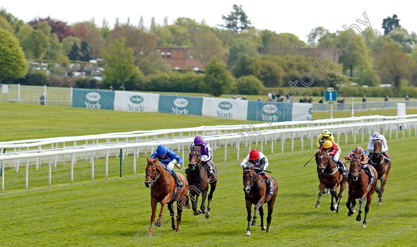 Hurricane-Lane-0002 
 HURRICANE LANE (left, William Buick) beats MEGALLAN (centre) in The Al Basti Equiworld Dubai Dante Stakes
York 13 May 2021 - Pic Steven Cargill / Racingfotos.com