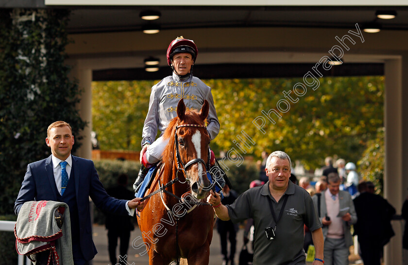 Zwayyan-0006 
 ZWAYYAN (Frankie Dettori) after The Neptune Investement Management Classified Stakes Ascot 6 Oct 2017 - Pic Steven Cargill / Racingfotos.com