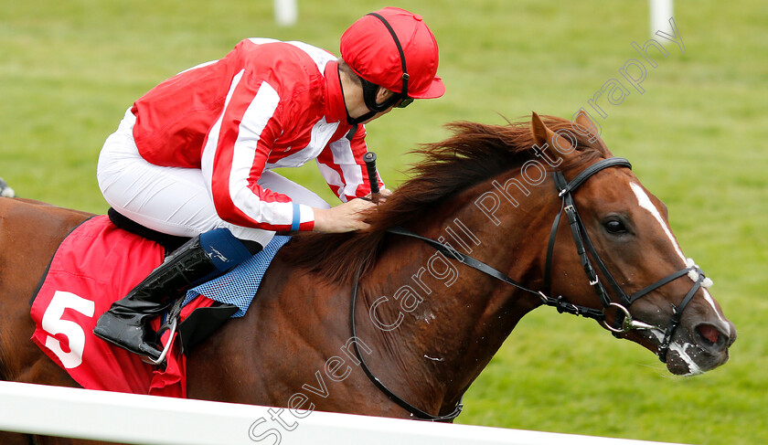 Jamih-0005 
 JAMIH (Nicky Mackay) wins The Randox Health British EBF Maiden Stakes
Sandown 16 Jun 2018 - Pic Steven Cargill / Racingfotos.com