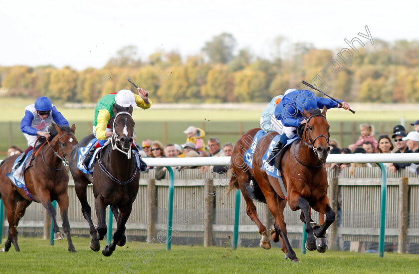 Flying-Honours-0007 
 FLYING HONOURS (William Buick) wins The Godolphin Flying Start Zetland Stakes
Newmarket 8 Oct 2022 - Pic Steven Cargill / Racingfotos.com