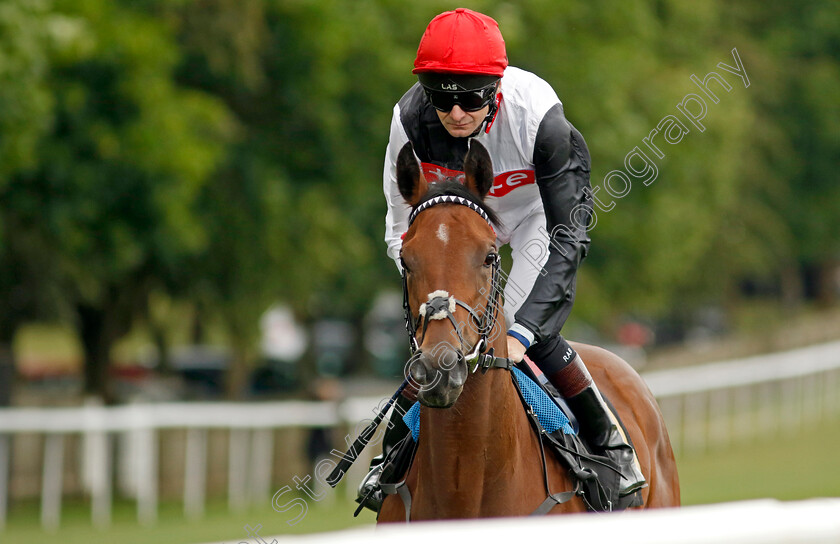 Spring-Fever-0008 
 SPRING FEVER (Robert Havlin) winner of The Mr Adrian Austin Memorial Fillies Handicap
Newmarket 1 Jul 2023 - Pic Steven Cargill / Racingfotos.com