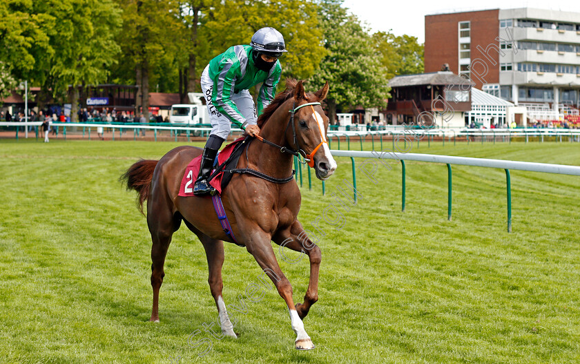 Arafi-0001 
 ARAFI (Sean Levey)
Haydock 22 May 2021 - Pic Steven Cargill / Racingfotos.com