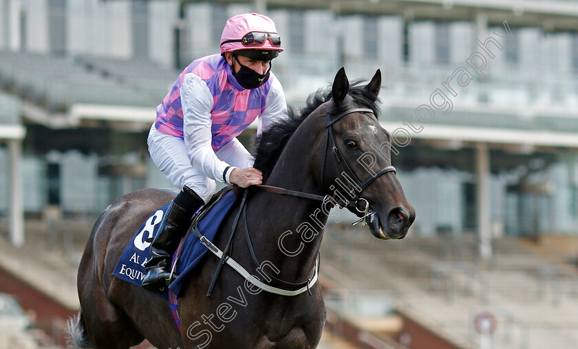 Pythagoras-0002 
 PYTHAGORAS (Paul Hanagan)
York 13 May 2021 - Pic Steven Cargill / Racingfotos.com