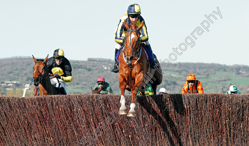 Lovely-Job-0002 
 LOVELY JOB (Noel Fehily) Cheltenham 18 Apr 2018 - Pic Steven Cargill / Racingfotos.com