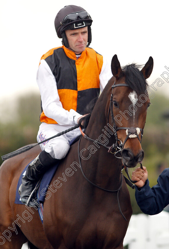 Revamp-0001 
 REVAMP (Tom Eaves)
Southwell 29 Apr 2019 - Pic Steven Cargill / Racingfotos.com