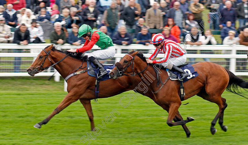 Thunder-Star-0001 
 THUNDER STAR (Lewis Edmunds) beats GEMINI STAR (right) in The Stephenson Smart Accountants To Bet On Handicap
Yarmouth 19 Sep 2023 - Pic Steven Cargill / Racingfotos.com