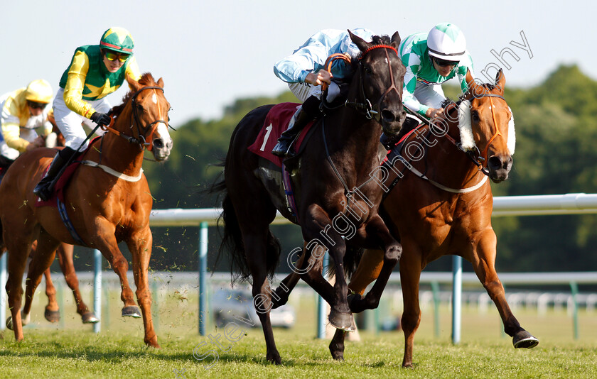 Maid-In-India-0004 
 MAID IN INDIA (centre, Martin Harley) beats MUSCIKA (right) in The Armstrongs Brinscall Quarry Supplying Sagrada Familia Handicap
Haydock 26 May 2018 - Pic Steven Cargill / Racingfotos.com