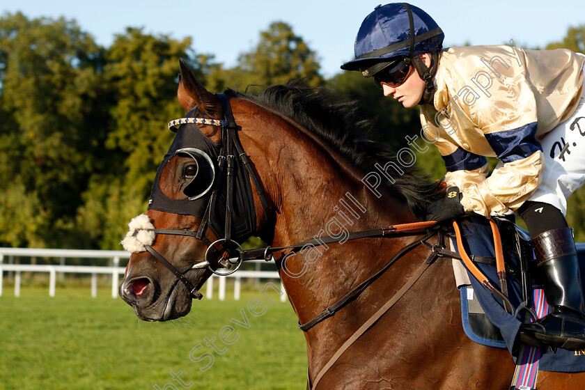 Outbox-0001 
 OUTBOX (Hollie Doyle)
Bro Park 17 Sep 2023 - Pic Steven Cargill / Racingfotos.com