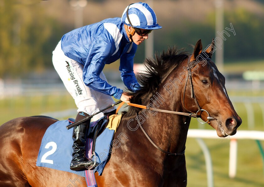 Alhaazm-0002 
 ALHAAZM (Jim Crowley)
Nottingham 20 Apr 2019 - Pic Steven Cargill / Racingfotos.com