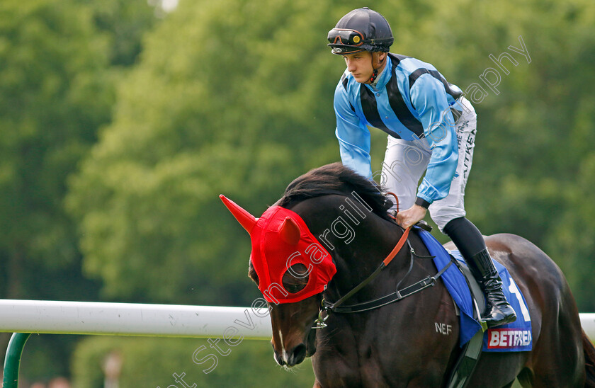 Asfoora-0004 
 ASFOORA (Mitchell Aitken) goes to post for the Temple Stakes
Haydock 25 May 2024 - Pic Steven Cargill / Racingfotos.com