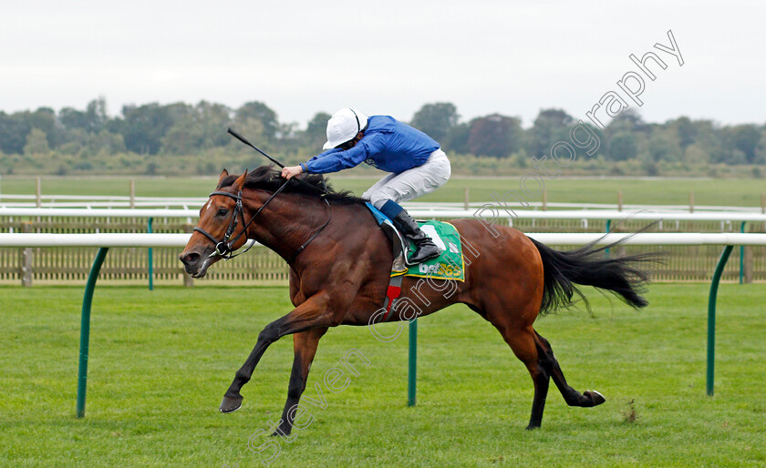 Siskany-0003 
 SISKANY (William Buick) wins The bet365 Old Rowley Cup Handicap
Newmarket 8 Oct 2021 - Pic Steven Cargill / Racingfotos.com