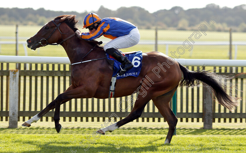 Just-Wonderful-0007 
 JUST WONDERFUL (Ryan Moore) wins The Shadwell Rockfel Stakes
Newmarket 28 Sep 2018 - Pic Steven Cargill / Racingfotos.com