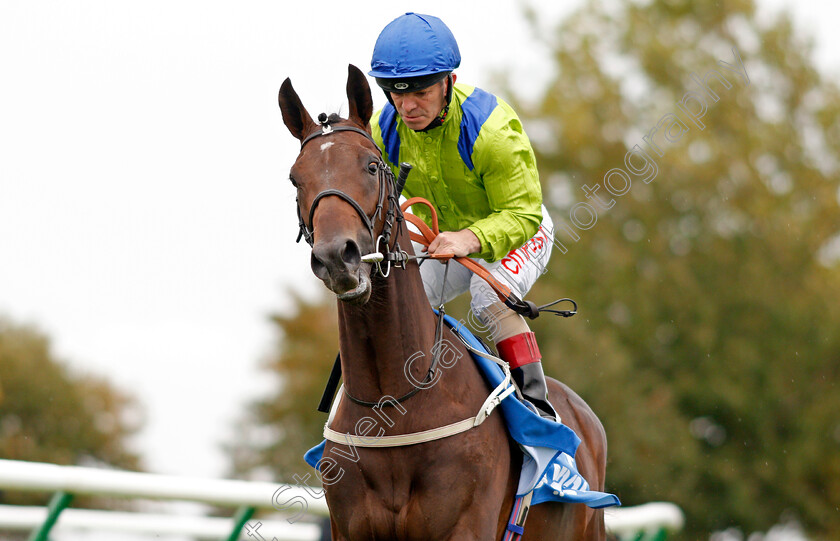 Subjectivist-0001 
 SUBJECTIVIST (Franny Norton)
Newmarket 12 Oct 2019 - Pic Steven Cargill / Racingfotos.com