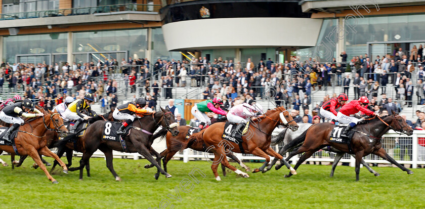 Pendleton-0002 
 PENDLETON (11, Callum Rodriguez) beats TERUNTUM STAR (centre) SAAHEQ (2nd left) and CALL ME GINGER (left) in The McGee Group Handicap
Ascot 5 Oct 2019 - Pic Steven Cargill / Racingfotos.com