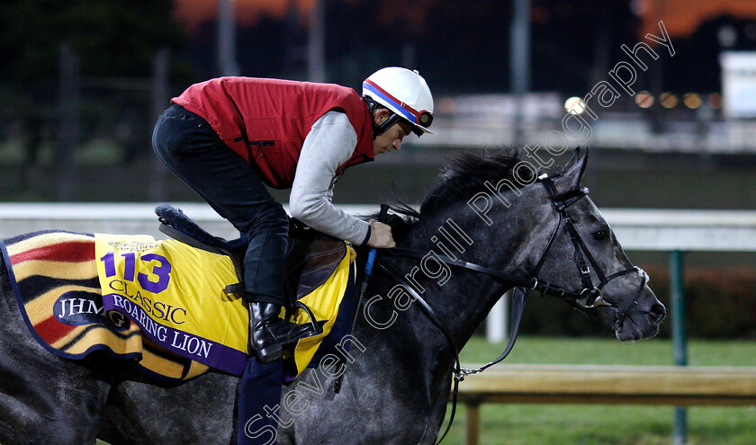 Roaring-Lion-0008 
 ROARING LION exercising ahead of The Breeders' Cup Classic
Churchill Downs USA 30 Oct 2018 - Pic Steven Cargill / Racingfotos.com