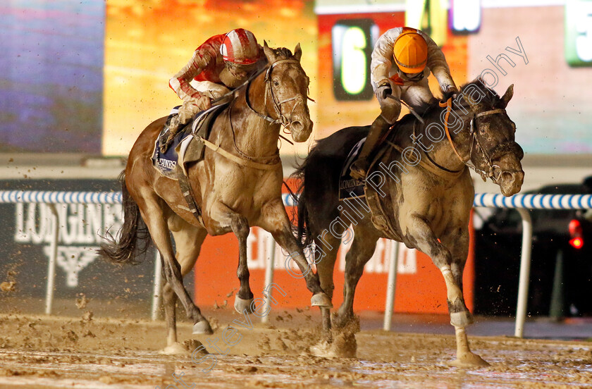 Franz-Strauss-0003 
 FRANZ STRAUSS (right, Tadhg O'Shea) beats WITHERING (left) in The Longines Legend Diver Collection Handicap
Meydan 27 Jan 2023 - Pic Steven Cargill / Racingfotos.com