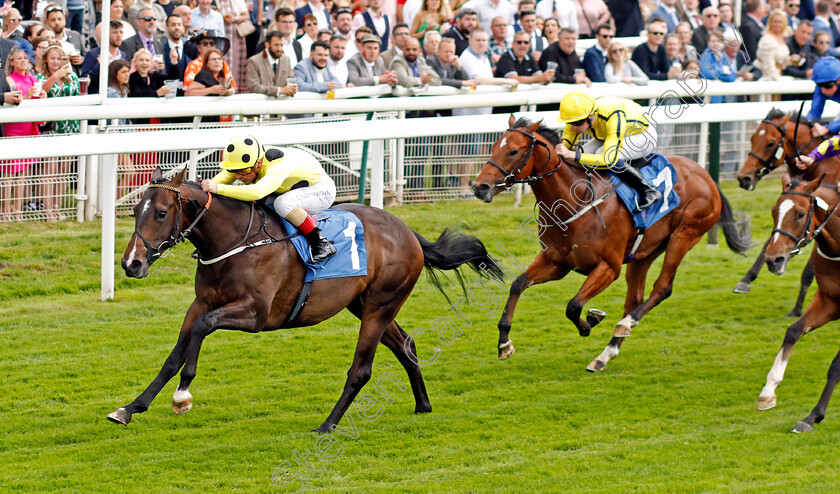 Cold-Case-0004 
 COLD CASE (Andrea Atzeni) wins The Reg Griffin Appreciation Ebfstallions.com Maiden Stakes
York 11 Jun 2022 - Pic Steven Cargill / Racingfotos.com