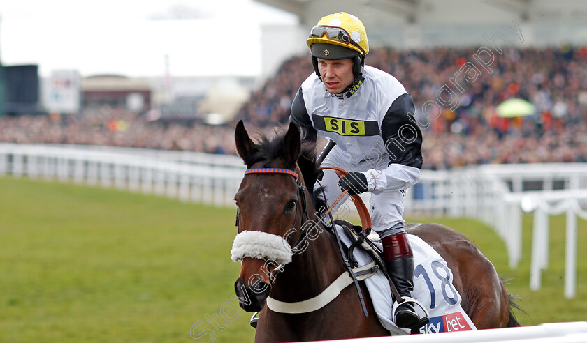 Western-Ryder-0001 
 WESTERN RYDER (Richard Johnson) Cheltenham 13 Mar 2018 - Pic Steven Cargill / Racingfotos.com