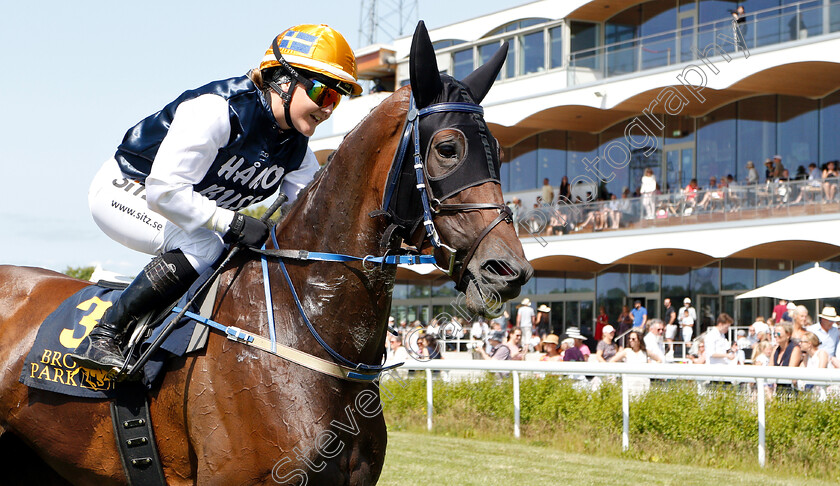 Paakame-Enki-0003 
 PAAKAME ENKI (Josefin Landgren) after The Women Jockeys' World Cup Leg1
Bro Park 30 Jun 2019 - Pic Steven Cargill / Racingfotos.com