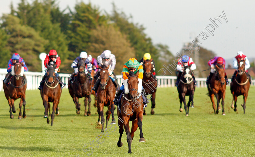 Gamesters-Icon-0002 
 GAMESTERS ICON (Megan Nicholls) wins The Nailsea Electrical Kitchen And Appliance Fillies Handicap
Bath 16 Oct 2019 - Pic Steven Cargill / Racingfotos.com