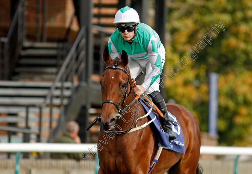 Lakota-Sioux-0001 
 LAKOTA SIOUX (Richard Kingscote)
Newmarket 23 Sep 2022 - Pic Steven Cargill / Racingfotos.com