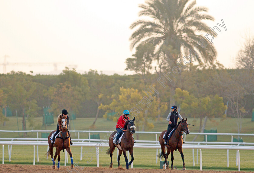 Island-Brave,-Pensiero-d Amore-and-J-J-Jumbo-0001 
 ISLAND BRAVE (right) PENSIERO D'AMORE (centre) and J J JUMBO (left) exercising for trainers Heather Main, Marco Botti and Darren Bunyan
Meydan, Dubai, 3 Feb 2022 - Pic Steven Cargill / Racingfotos.com