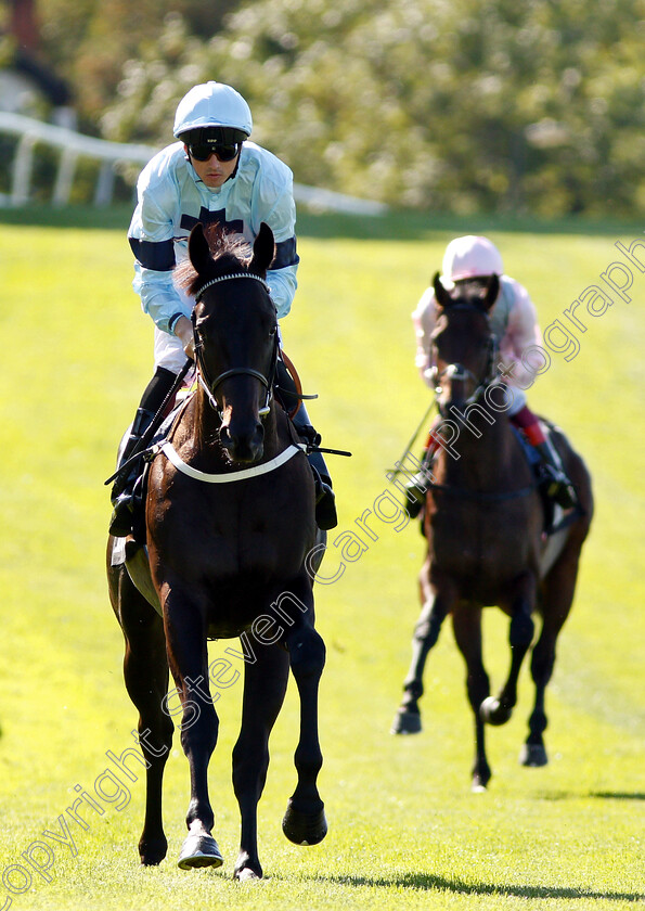 Dunkerron-0002 
 DUNKERRON (Martin Harley)
Sandown 1 Sep 2018 - PIc Steven Cargill / Racingfotos.com