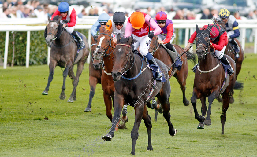 Breathtaking-Look-0003 
 BREATHTAKING LOOK (Jim Crowley) wins The Japan Racing Association Sceptre Stakes
Doncaster 13 Sep 2019 - Pic Steven Cargill / Racingfotos.com