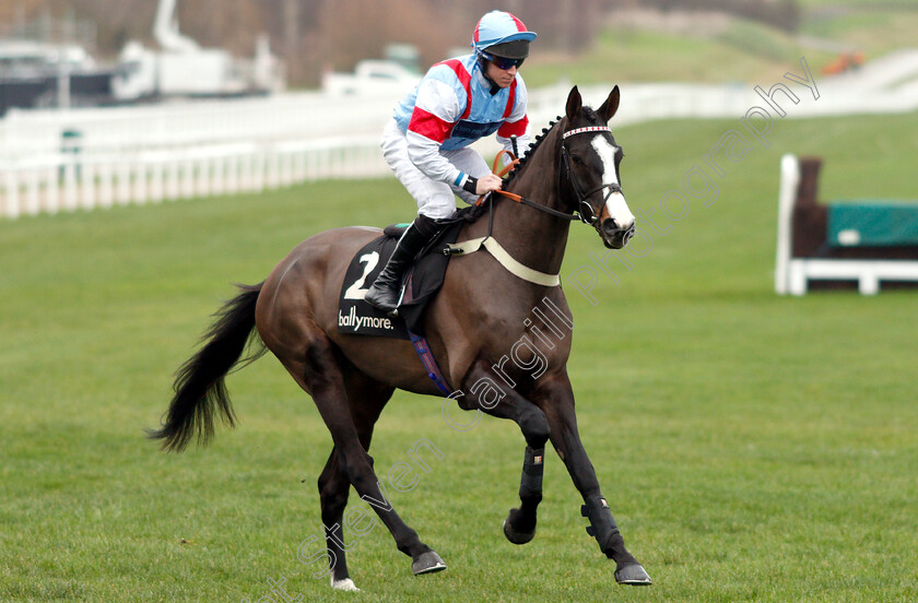 Anemoi-0001 
 ANEMOI (Gavin Sheehan)
Cheltenham 1 Jan 2019 - Pic Steven Cargill / Racingfotos.com