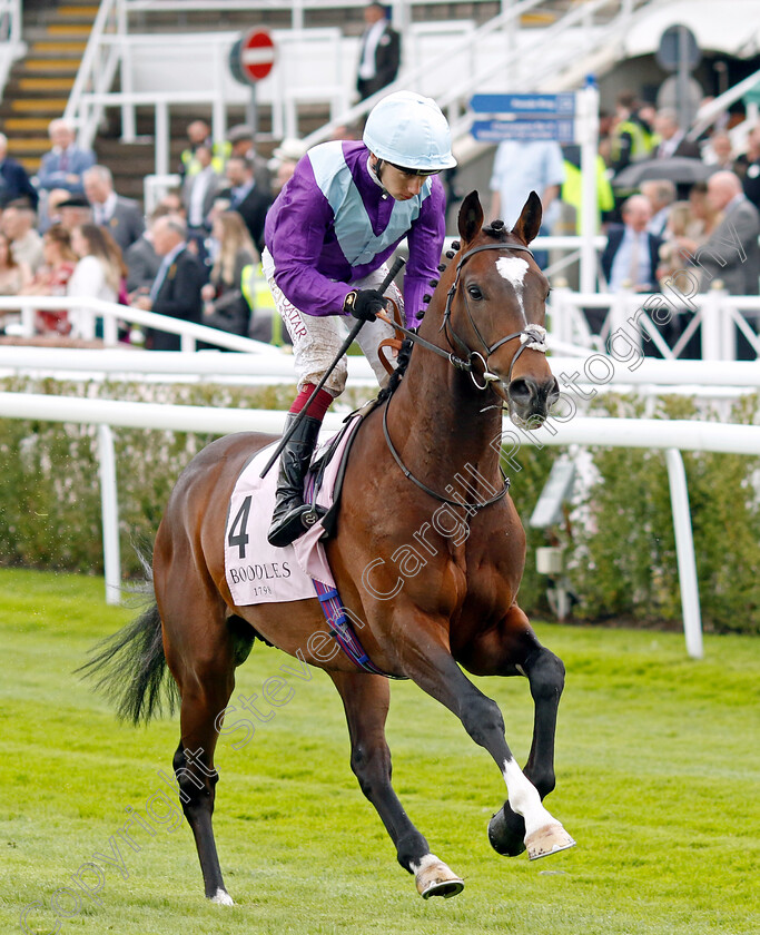 Galactic-Jack-0001 
 GALACTIC JACK (Oisin Murphy)
Chester 10 May 2023 - pic Steven Cargill / Racingfotos.com