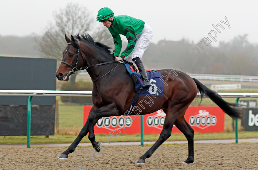 Culpability-0001 
 CULPABILITY (Robert Havlin) Lingfield 20 Dec 2017 - Pic Steven Cargill / Racingfotos.com