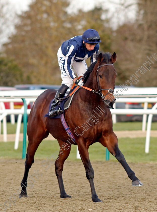 Talis-Evolvere-0001 
 TALIS EVOLVERE (Ryan Moore)
Lingfield 20 Jan 2024 - Pic Steven Cargill / Racingfotos.com