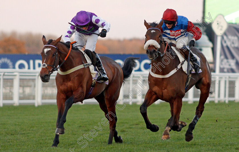 Nestor-Park-0002 
 NESTOR PARK (David Bass) beats PORTRUSH TED (right) in The Elite AV Standard Open National Hunt Flat Race Ascot 25 Nov 2017 - Pic Steven Cargill / Racingfotos.com