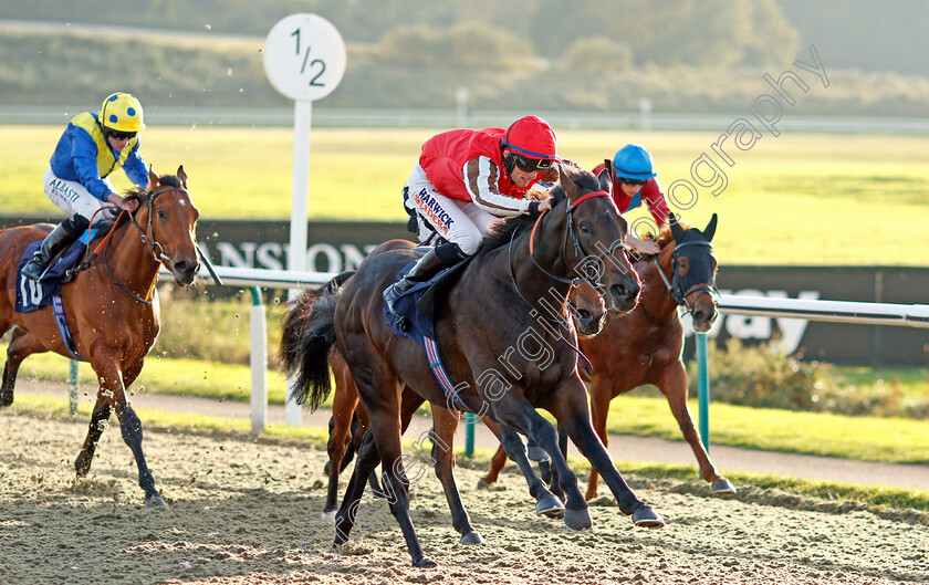 Honky-Tonk-Man-0004 
 HONKY TONK MAN (Trevor Whelan) wins The Watch Racing Free Online At Coral EBF Novice Stakes
Lingfield 28 Oct 2021 - Pic Steven Cargill / Racingfotos.com