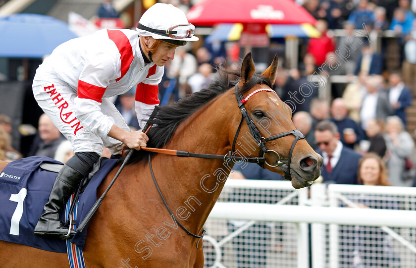 Asean-Legend-0003 
 ASEAN LEGEND (Tom Marquand)
Chester 4 May 2022 - Pic Steven Cargill / Racingfotos.com